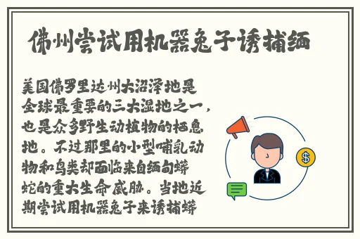 黑人双人RAPPER中国欢迎您